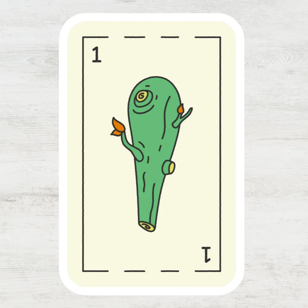14.webp