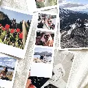 20 Polaroids Strip